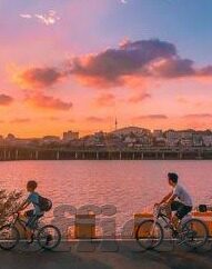 91麻豆在线播放-探索网络内容与个人信息安全的深思