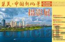 91在线观看麻豆-触网之殇，解读91在线观看麻豆的幕后陷阱与负效应