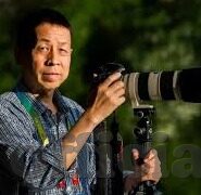 成人黄片免费视频-成人黄片免费视频，网络世界的灰色地带与法律红线