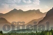 成人免费视频一区二区-成人免费视频一区二区，网络时代的隐秘角落与伦理边界