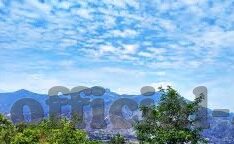 成人网在线视频-成人网在线视频，理性审视与边界探讨