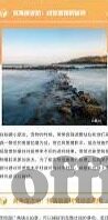 国产av一区仑乱麻豆出品-国产AV一区里的艺术之惑，乱象与思考