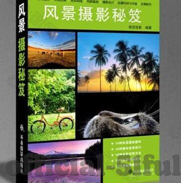 后入人妻在线-探索网络世界的边界，后入人妻在线的误区与反思
