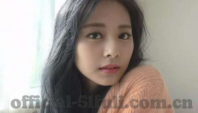 老司机成人网老司机视频-老司机之路，成人网与视频的智慧导航