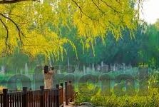 麻豆91网页-麻豆91，自我探索的边界与守界