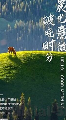 麻豆av动漫-麻豆AV动漫，动漫文化的一块特殊角落