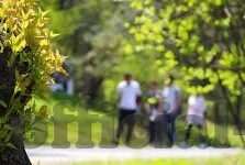 麻豆文化传媒入口-麻豆文化传媒，探秘视界的艺术朵朵 —— 欢迎步入创意与美的至高点