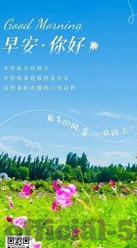 麻豆文化影视传媒网址-麻豆文化影视传媒，数字化时代的内容创新与实践