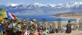日韩av一区在线-日韩AV一区在线，网络文化与成人娱乐的灰色地带