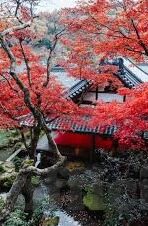 神马影院一区二区三区-影视新视界，探索神马影院一区、二区、三区的独特魅力