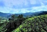 糖心app苹果下载-糖心，苹果设备专属的私密社交新体验
