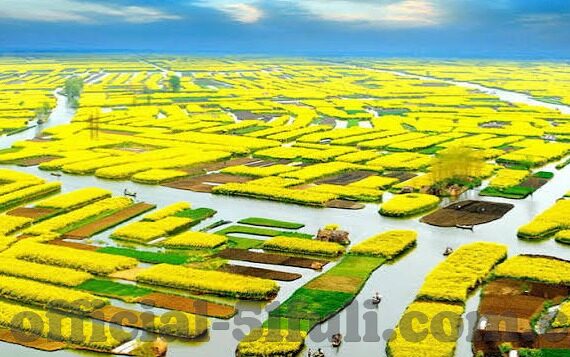 翔田千里保险中文字幕-翔田千里，保险行业的中文字幕导航