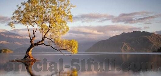 亚洲一区二区三区免费-探索亚洲文化多样性的独特视角，一区、二区、三区的文化魅力